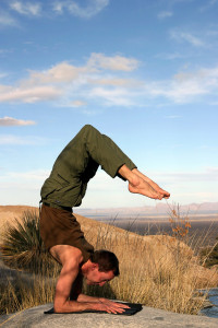 Karl Straub scorpion